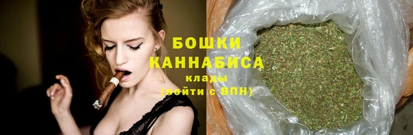 прущие грибы Каменск-Шахтинский