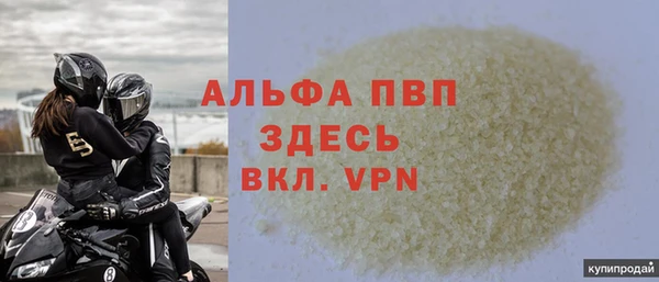 прущие грибы Каменск-Шахтинский