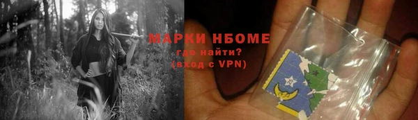 прущие грибы Каменск-Шахтинский