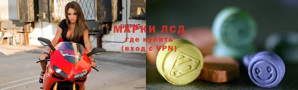 прущие грибы Каменск-Шахтинский
