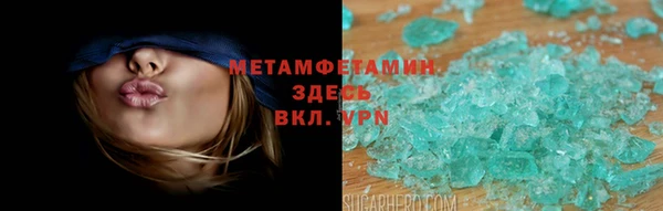 прущие грибы Каменск-Шахтинский