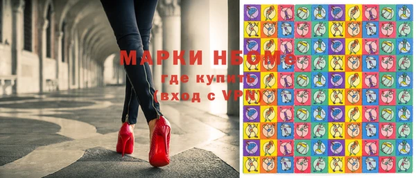 тгк Каменка