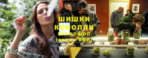 тгк Каменка