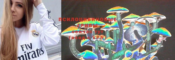 тгк Каменка