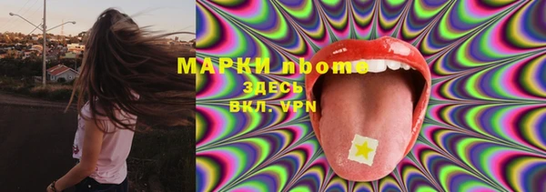 прущие грибы Каменск-Шахтинский
