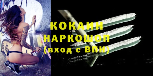 прущие грибы Каменск-Шахтинский