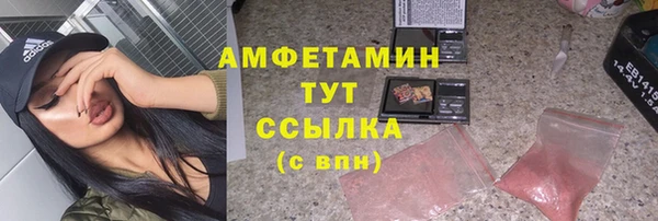 прущие грибы Каменск-Шахтинский