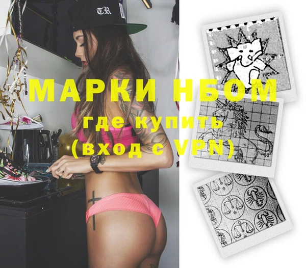 тгк Каменка