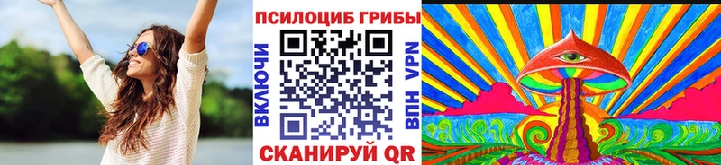 Галлюциногенные грибы Psilocybe  Купить  Яровое 