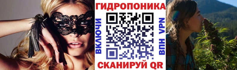 Купить где  Яровое  Бошки Шишки OG Kush 